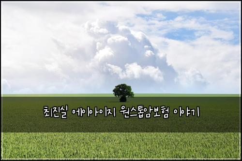 최진실 에이아이지 원스톱암보험 이야기
