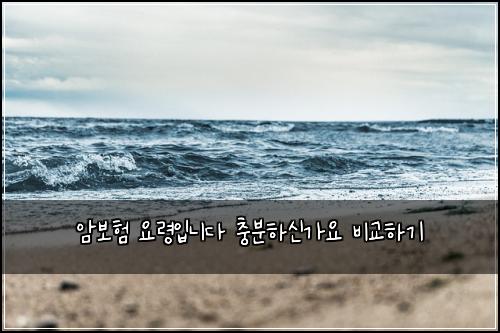 암보험 요령입니다  충분하신가요 비교하기