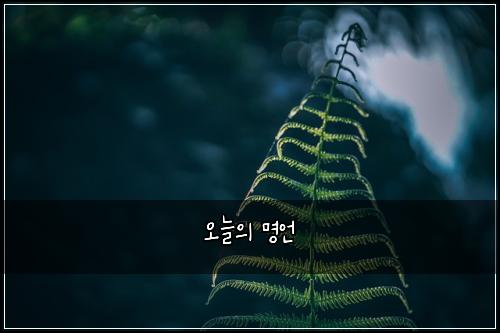 오늘의 명언