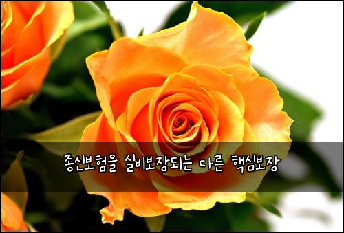 종신보험을 실비보장되는 다른 핵심보장
