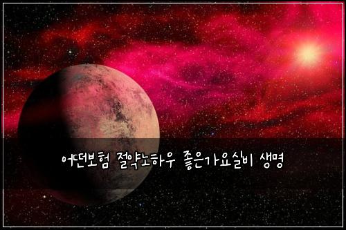 ์ด๋ค๋ณดํ ์ ์ฝ๋
ธํ์ฐ ์ข์๊ฐ์์ค๋น ์๋ช