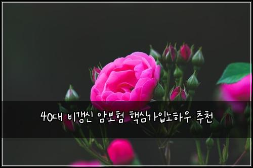 40๋ ๋น๊ฐฑ์ ์๋ณดํ ํต์ฌ๊ฐ์
๋
ธํ์ฐ ์ถ์ฒ