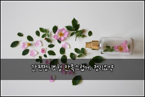 간편정기보험 만족스럽게  정리요약