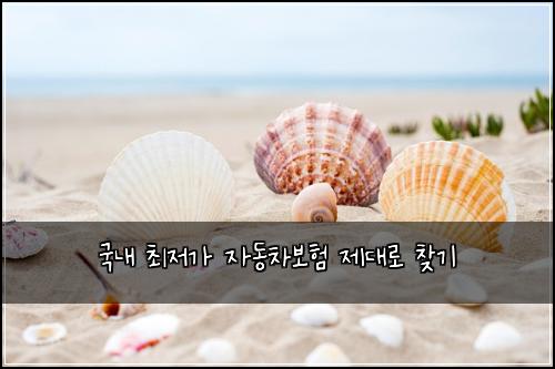 국내 최저가 자동차보험 제대로 찾기