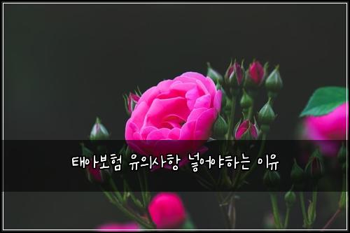 ํ์๋ณดํ ์ ์์ฌํญ ๋ฃ์ด์ผํ๋ ์ด์