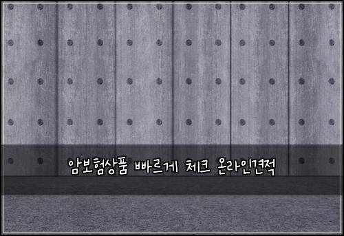 암보험상품 빠르게 체크 온라인견적