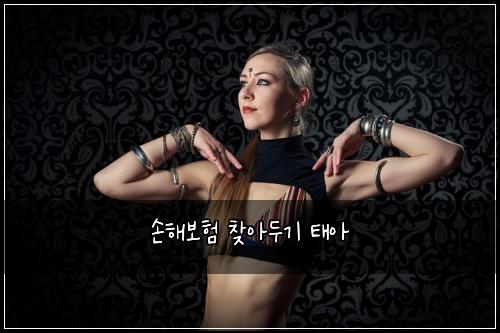 손해보험 찾아두기  태아