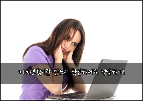 자차보험이란 반드시 확인하세요 적당하게