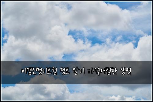 비갱신정기보험 정보 알기  가격저렴한 생명