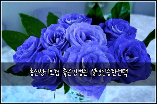 종신정기보험 좋은방법은  설명신중한선택