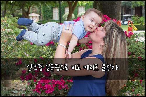 암보험 실속형으로  비교 메리츠 운전자