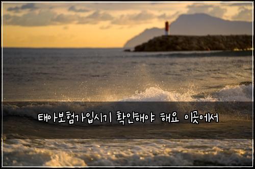 태아보험가입시기 확인해야 해요 이곳에서