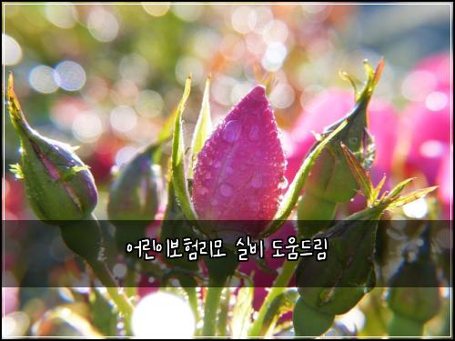 어린이보험리모 실비 도움드림