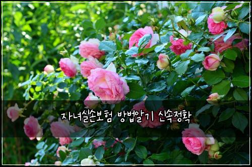 자녀실손보험 방법알기  신속정확