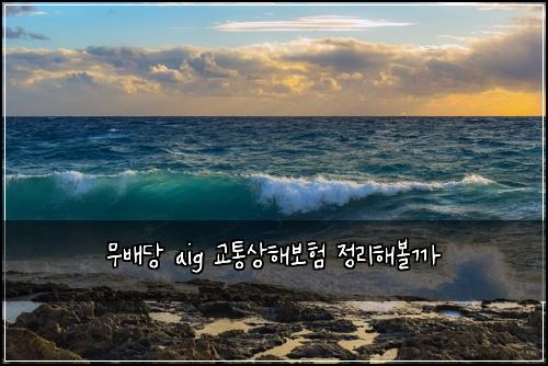 무배당 aig 교통상해보험 정리해볼까 