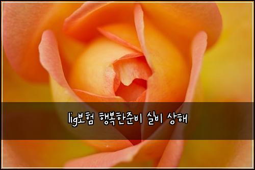 lig๋ณดํ ํ๋ณตํ์ค๋น ์ค๋น ์ํด