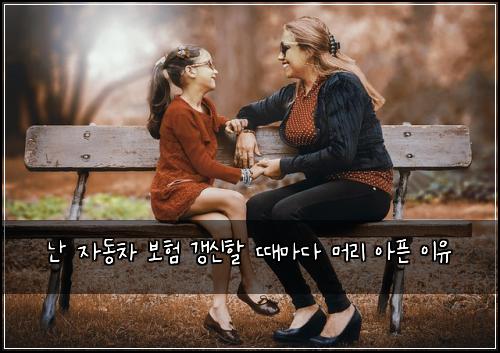 난 자동차 보험 갱신할 때마다 머리 아픈 이유