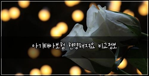 아기태아보험 현명해져요  비교정보