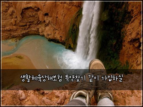 생활체육상해보험 특약찾기  같이 가입하실