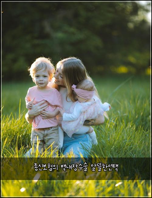 ์ข
์ ๋ณดํ์ ๋ฐฑ๋ด์ฅ์์ ์๋ฐํ์ ํ