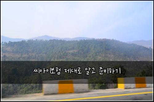 씨아이보험 제대로 알고 준비하기