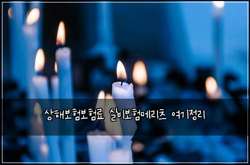 ์ํด๋ณดํ๋ณดํ๋ฃ ์ค๋น๋ณดํ๋ฉ๋ฆฌ์ธ ์ฌ๊ธฐ์ ๋ฆฌ
