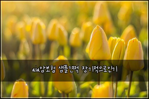 aia암보험 샘플견적  장기적으로인기