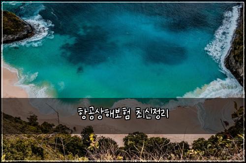 ํญ๊ณต์ํด๋ณดํ ์ต์ ์ ๋ฆฌ