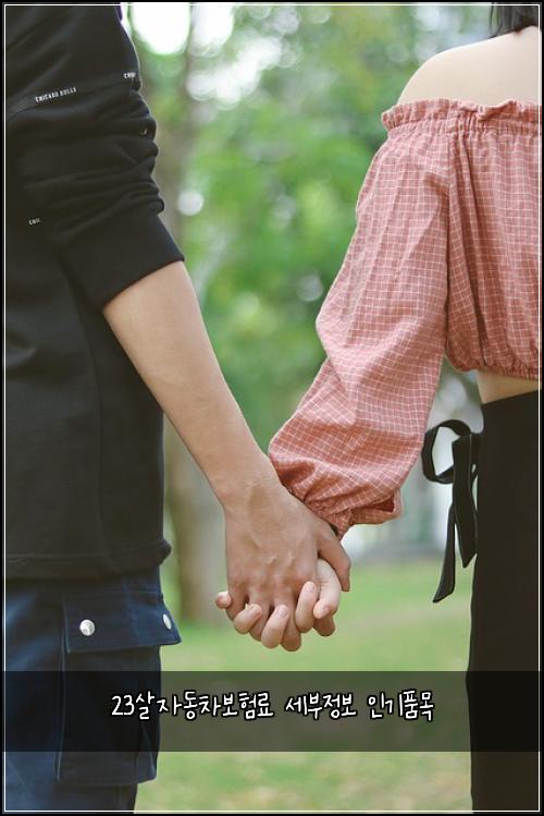 23์ด์๋์ฐจ๋ณดํ๋ฃ ์ธ๋ถ์ ๋ณด ์ธ๊ธฐํ๋ชฉ