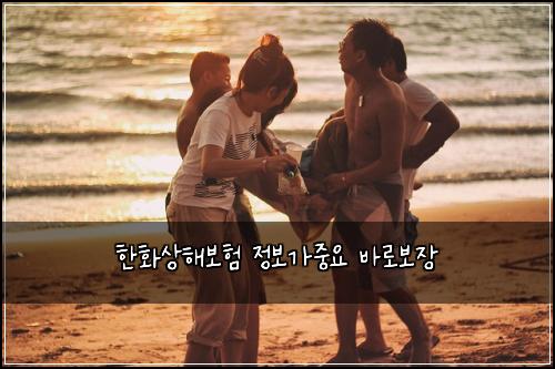 한화상해보험 정보가중요  바로보장