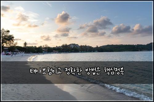 태아보험비교 정확한 방법은 핵심정복
