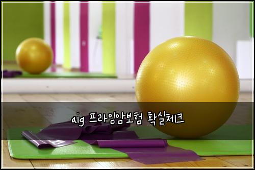 aig 프라임암보험 확실체크 