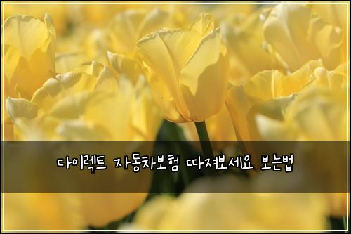 λ€μ΄λ νΈ μλ차보ν λ°μ Έλ³΄μΈμ 보λλ²
