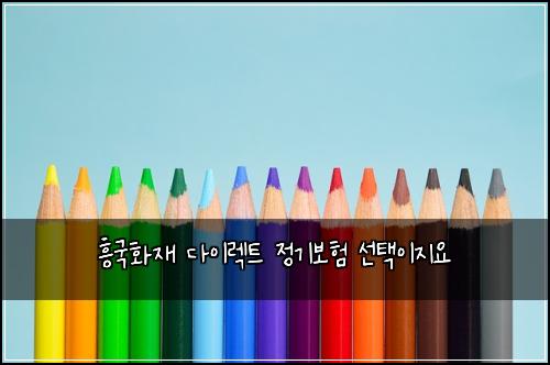 흥국화재 다이렉트 정기보험 선택이지요 