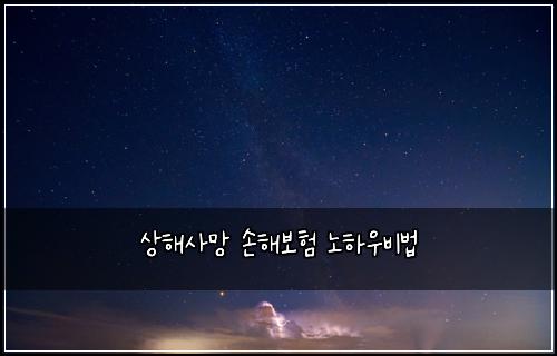 상해사망 손해보험 노하우비법 