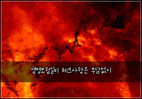 생명보험실비 체크사항은 부담없이
