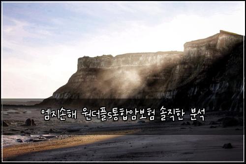 엠지손해 원더플s통합암보험 솔직한 분석