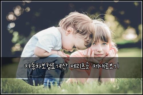 자동차보험료계산 메리츠곳 제대로보기