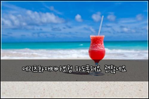 ๋ฉ๋ฆฌ์ธ ํ์ฌํ์๋ณดํ ํ๋๋กํด์ ๊ด์ฐฎ๋ค์