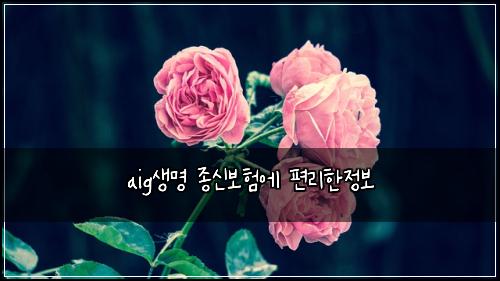 aig์๋ช
์ข
์ ๋ณดํ์ ํธ๋ฆฌํ์ ๋ณด
