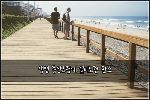 생명 종신보험에 실비보험 찬스