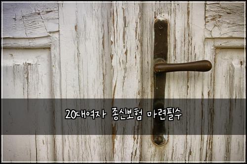 20๋์ฌ์ ์ข
์ ๋ณดํ ๋ง๋ จํ์