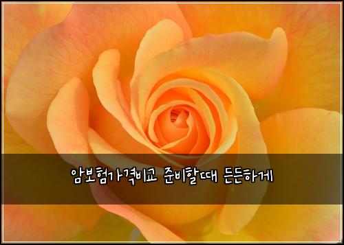 암보험가격비교 준비할때 든든하게