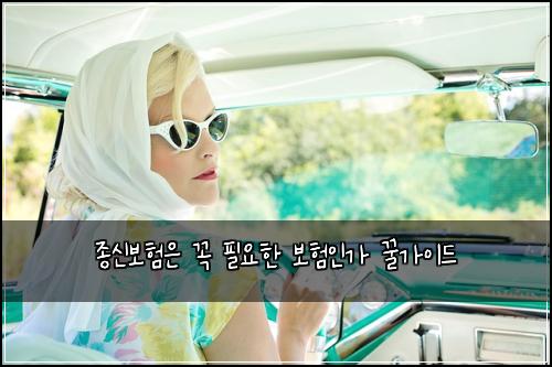 종신보험은 꼭 필요한 보험인가 꿀가이드
