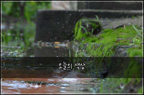 오늘의 색상