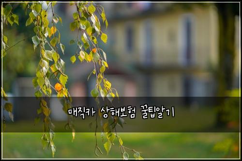 ๋งค์ง์นด ์ํด๋ณดํ ๊ฟํ์๊ธฐ