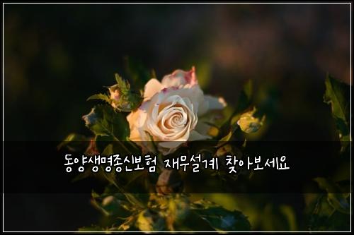동양생명종신보험 재무설계  찾아보세요