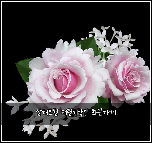 상해보험 저렴히확인  화끈하게