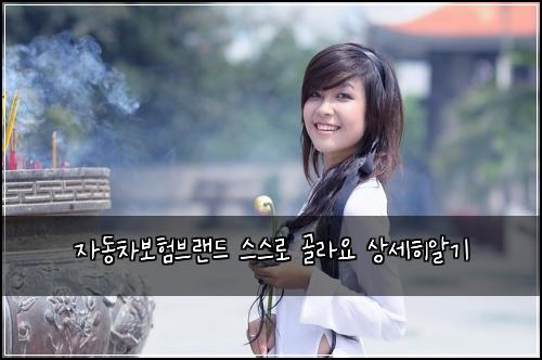 자동차보험브랜드 스스로 골라요 상세히알기