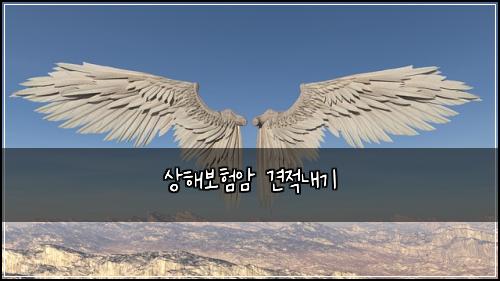 상해보험암 견적내기